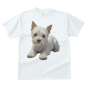 EGXgnChzCgeA TVc  j[NfUCfB[X t@  t vg lJWA 킢 lԗp Mtg I ҏ΍ EGXgnChz