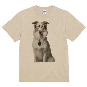 {]C TVc  j[NfUCY LbY t@  t vg lJWA 킢 lԗp Mtg I ҏ΍ Kl {]C y_g