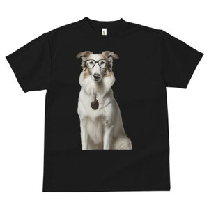 {]C TVc  j[NfUCfB[X t@  t vg lJWA 킢 lԗp Mtg I ҏ΍ Kl {]C y_g