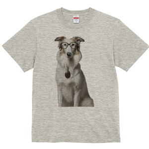 {]C TVc  j[NfUCfB[X t@  t vg lJWA 킢 lԗp Mtg I ҏ΍ Kl {]C y_g