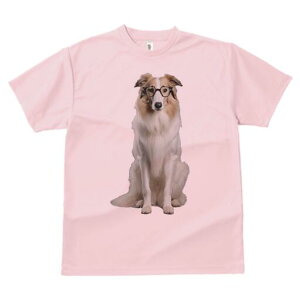 R[ TVc  j[NfUCfB[X t@  t vg lJWA 킢 lԗp Mtg I ҏ΍ Kl R[