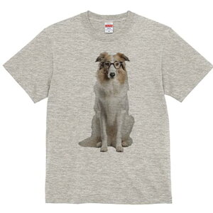 R[ TVc  j[NfUCfB[X t@  t vg lJWA 킢 lԗp Mtg I ҏ΍ Kl R[