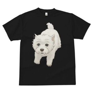 EGXgnChzCgeA TVc  j[NfUCfB[X t@  t vg lJWA 킢 lԗp Mtg I ҏ΍ EGXgnChz