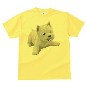 EGXgnChzCgeA TVc  j[NfUCfB[X t@  t vg lJWA 킢 lԗp Mtg I ҏ΍ EGXgnChz