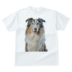 R[ TVc  j[NfUCfB[X t@  t vg lJWA 킢 lԗp Mtg I ҏ΍ Kl R[