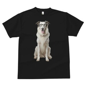 {]C TVc  j[NfUCfB[X t@  t vg lJWA 킢 lԗp Mtg I ҏ΍ Kl {]C