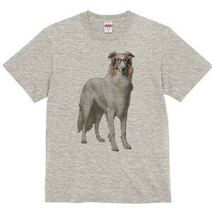 {]C TVc  j[NfUCfB[X t@  t vg lJWA 킢 lԗp Mtg I ҏ΍ Kl {]C