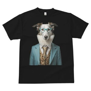 {]C TVc  j[NfUCfB[X t@  t vg lJWA 킢 lԗp Mtg I ҏ΍ X[c {]C Kl lN^C xXg