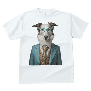 {]C TVc  j[NfUCfB[X t@  t vg lJWA 킢 lԗp Mtg I ҏ΍ X[c {]C Kl lN^C xXg