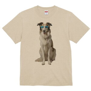 {]C TVc  j[NfUCfB[X t@  t vg lJWA 킢 lԗp Mtg I ҏ΍ TOX {]C