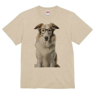 {[_[R[ TVc  j[NfUCY LbY t@  t vg lJWA 킢 lԗp Mtg I ҏ΍ Kl {[_[R[