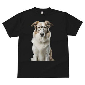 {[_[R[ TVc  j[NfUCfB[X t@  t vg lJWA 킢 lԗp Mtg I ҏ΍ Kl {[_[R[