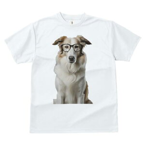 {[_[R[ TVc  j[NfUCY LbY t@  t vg lJWA 킢 lԗp Mtg I ҏ΍ Kl {[_[R[