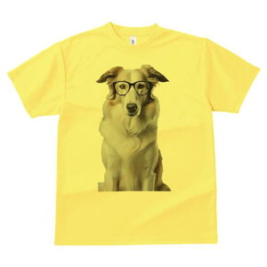 {[_[R[ TVc  j[NfUCfB[X t@  t vg lJWA 킢 lԗp Mtg I ҏ΍ Kl {[_[R[