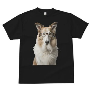 R[ TVc  j[NfUCfB[X t@  t vg lJWA 킢 lԗp Mtg I ҏ΍ Kl R[