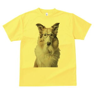 R[ TVc  j[NfUCfB[X t@  t vg lJWA 킢 lԗp Mtg I ҏ΍ Kl R[