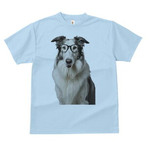 {[_[R[ TVc  j[NfUCfB[X t@  t vg lJWA 킢 lԗp Mtg I ҏ΍ Kl {[_[R[