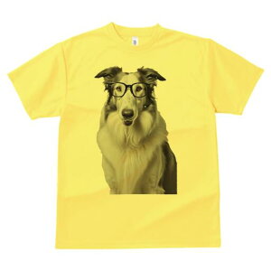 {[_[R[ TVc  j[NfUCfB[X t@  t vg lJWA 킢 lԗp Mtg I ҏ΍ Kl {[_[R[