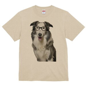 {[_[R[ TVc  j[NfUCfB[X t@  t vg lJWA 킢 lԗp Mtg I ҏ΍ Kl {[_[R[