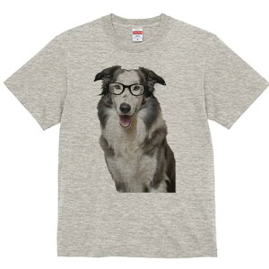 {[_[R[ TVc  j[NfUCY LbY t@  t vg lJWA 킢 lԗp Mtg I ҏ΍ Kl {[_[R[