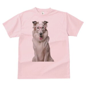 {]C TVc  j[NfUCfB[X t@  t vg lJWA 킢 lԗp Mtg I ҏ΍ Kl {]C