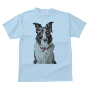 {[_[R[ TVc  j[NfUCfB[X t@  t vg lJWA 킢 lԗp Mtg I ҏ΍ Kl {[_[R[  y_g