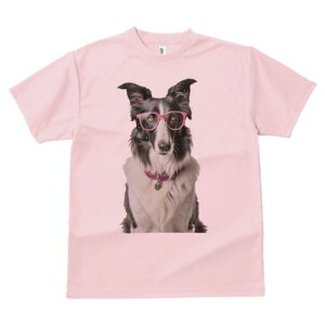 {[_[R[ TVc  j[NfUCY LbY t@  t vg lJWA 킢 lԗp Mtg I ҏ΍ Kl {[_[R[  y_g