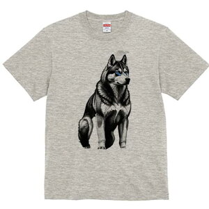 nXL[ TVc  j[NfUCfB[X t@  t vg lJWA 킢 lԗp Mtg I ҏ΍ nXL[