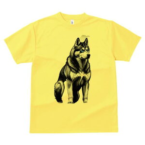 nXL[ TVc  j[NfUCfB[X t@  t vg lJWA 킢 lԗp Mtg I ҏ΍ nXL[