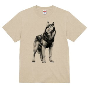 VxAnXL[ TVc  j[NfUCfB[X t@  t vg lJWA 킢 lԗp Mtg I ҏ΍ n[lX VxAnXL[