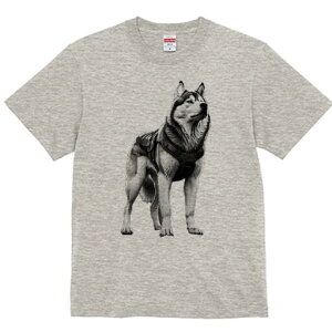 VxAnXL[ TVc  j[NfUCfB[X t@  t vg lJWA 킢 lԗp Mtg I ҏ΍ n[lX VxAnXL[