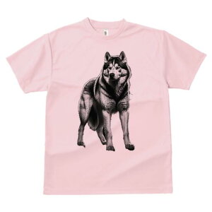 nXL[ TVc  j[NfUCfB[X t@  t vg lJWA 킢 lԗp Mtg I ҏ΍ nXL[