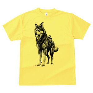 VxAnXL[ TVc  j[NfUCfB[X t@  t vg lJWA 킢 lԗp Mtg I ҏ΍ n[lX VxAnXL[ obN