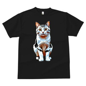 TVc  j[NfUCY LbY t@  t vg lJWA 킢 lԗp Mtg I ҏ΍ L ybg  CXg