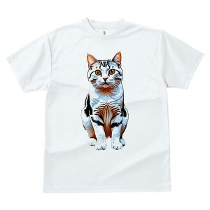 TVc  j[NfUCfB[X t@  t vg lJWA 킢 lԗp Mtg I ҏ΍ L ybg  킢 CXg