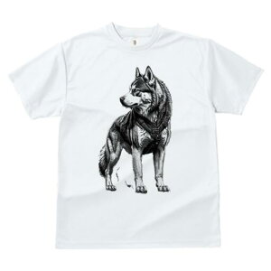 nXL[ TVc  j[NfUCfB[X t@  t vg lJWA 킢 lԗp Mtg I ҏ΍ n[lX nXL[