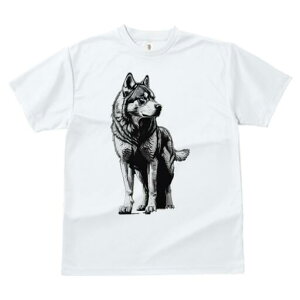 nXL[ TVc  j[NfUCfB[X t@  t vg lJWA 킢 lԗp Mtg I ҏ΍ nXL[