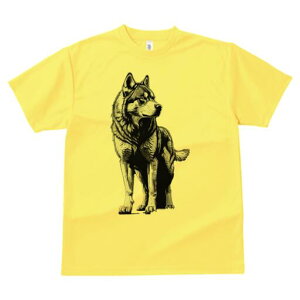 nXL[ TVc  j[NfUCfB[X t@  t vg lJWA 킢 lԗp Mtg I ҏ΍ nXL[