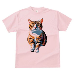 TVc  j[NfUCfB[X t@  t vg lJWA 킢 lԗp Mtg I ҏ΍ L ybg  킢 CXg