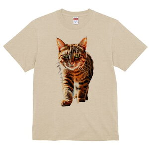 TVc  j[NfUCfB[X t@  t vg lJWA 킢 lԗp Mtg I ҏ΍ L lR ybg  M