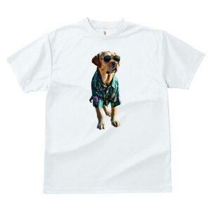 uh[go[ TVc  j[NfUCfB[X t@  t vg lJWA 킢 lԗp Mtg I ҏ΍ AnVc uh[g