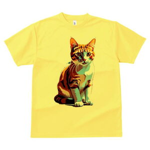 TVc  j[NfUCfB[X t@  t vg lJWA 킢 lԗp Mtg I ҏ΍ L  ybg 킢 CXg