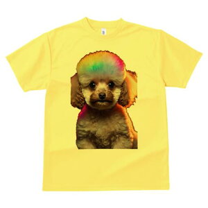 gCv[h TVc  j[NfUCfB[X t@  t vg lJWA 킢 lԗp Mtg I ҏ΍ C{[J[ gCv[h wAX^C