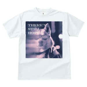 Hc TVc  j[NfUCfB[X t@  t vg lJWA 킢 lԗp Mtg I ҏ΍ TOX Hc WPbg