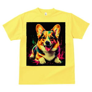 R[M[ TVc  j[NfUCfB[X t@  t vg lJWA 킢 lԗp Mtg I ҏ΍ Jt R[M[ A[g |bv