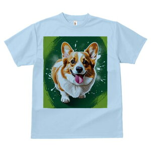 R[M[ TVc  j[NfUCfB[X t@  t vg lJWA 킢 lԗp Mtg I ҏ΍ wi R[M[ CXg