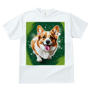 R[M[ TVc  j[NfUCfB[X t@  t vg lJWA 킢 lԗp Mtg I ҏ΍ wi R[M[ CXg