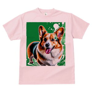 R[M[ TVc  j[NfUCfB[X t@  t vg lJWA 킢 lԗp Mtg I ҏ΍ R[M[