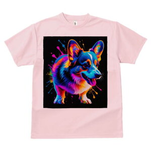 R[M[ TVc  j[NfUCfB[X t@  t vg lJWA 킢 lԗp Mtg I ҏ΍ Jt R[M[ A[g |bv