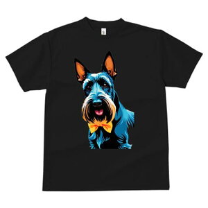 XReBbVeA TVc  j[NfUCfB[X t@  t vg lJWA 킢 lԗp Mtg I ҏ΍ lN^C XReBbVeA